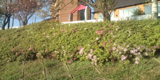 20100416174927