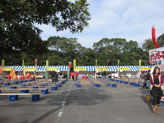 IMG_0182 IMG_0182