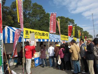 IMG_0213 IMG_0213
