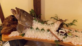 唐津くんち8